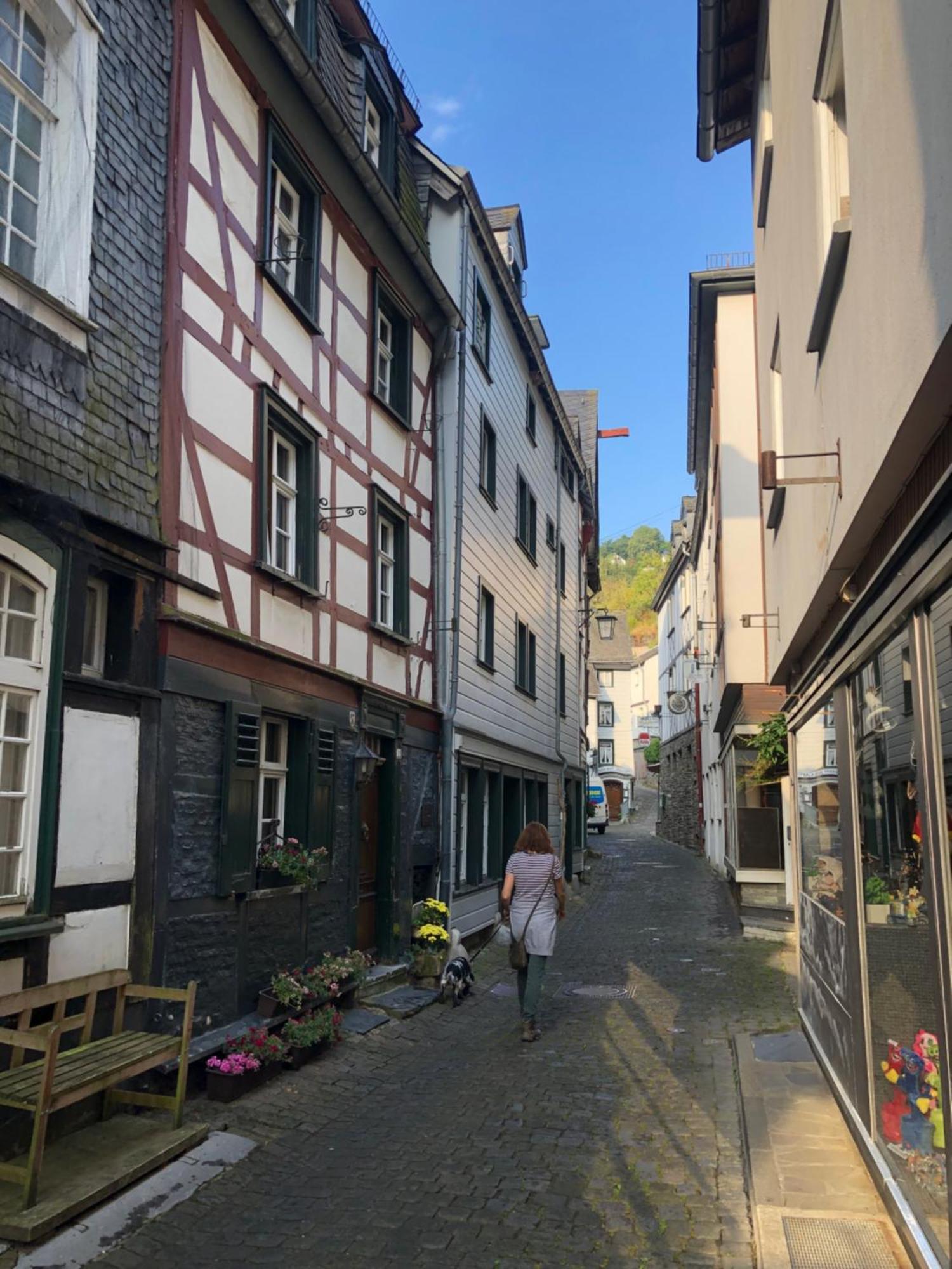 Apartment Rur-Partie Im Haus An Der Rur Monschau Eksteriør bilde